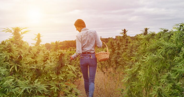 5 femmes inspirantes dans le cannabis 1