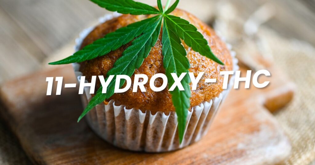 C'est quoi le 11-hydroxy-THC ?