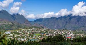 Le Zamal de la Réunion : une plante unique au cœur de l'Île