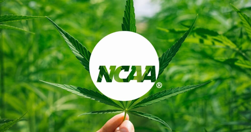La-NCAA-envisage-de-lever-linterdiction-de-la-marijuana