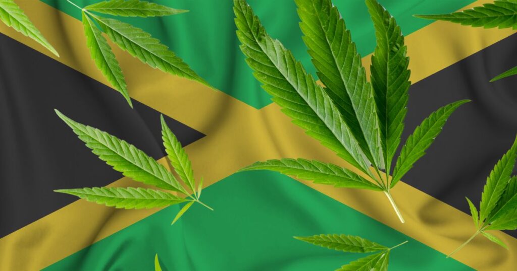 La-Jamaique-Franchit-un-Cap-Historique-dans-lExportation-de-Cannabis-Medicinal-aux-Etats-Unis
