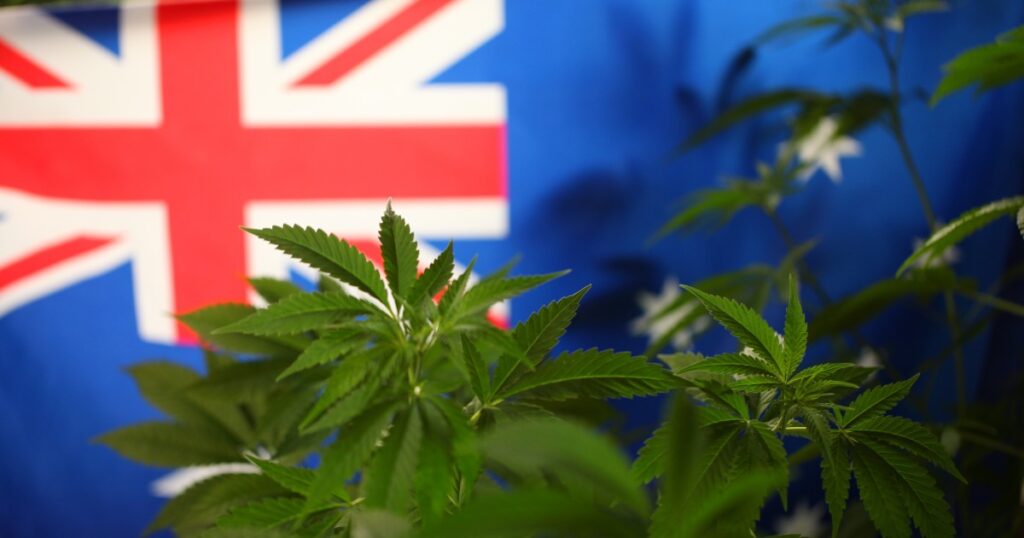 Légalisation du Cannabis en Australie : Débat 2023